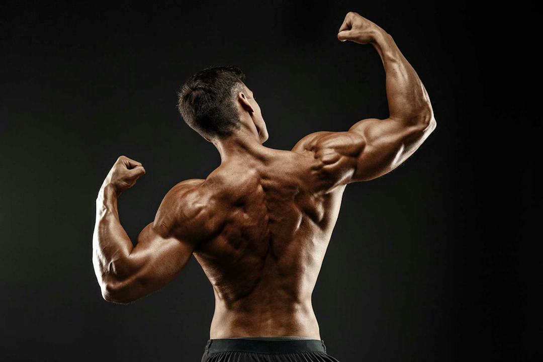 5 Killer Back & Biceps Workouts For Building Muscle