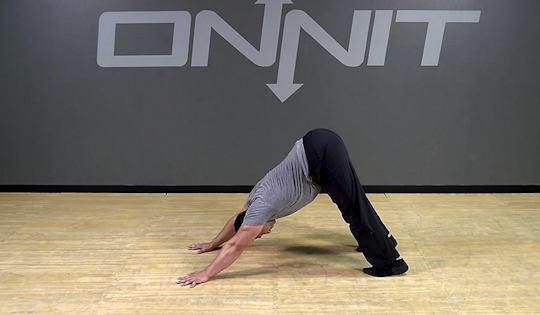 Hinge Bear Squat Bodyweight Exercise