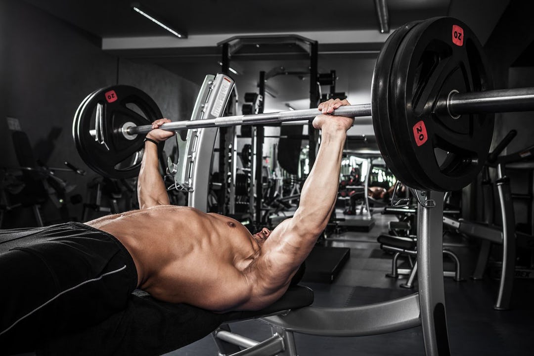 The Best Chest and Triceps Workouts for Building Muscle