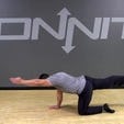 Alternating Bird Dog Bodyweight Exercise