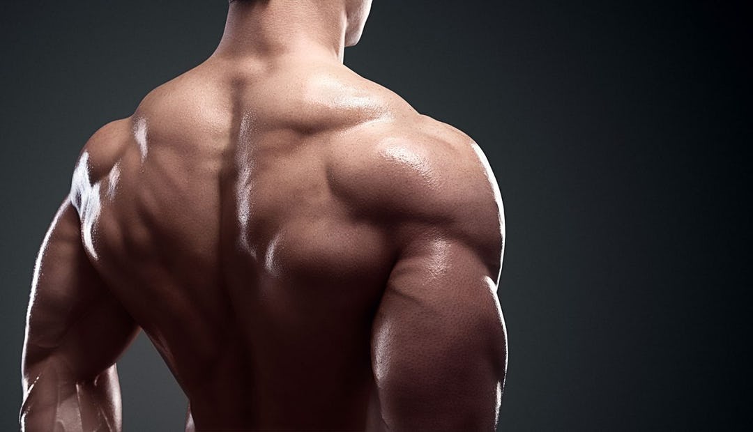 The Best Home Shoulder Workouts For Getting Bigger Delts