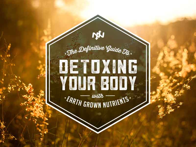 The Definitive Guide to Detoxing Your Body