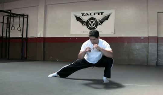 Exercise Bodyweight Cossack Low Switch