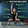 Form at a Glance: Horse Stance Gorilla Snatch