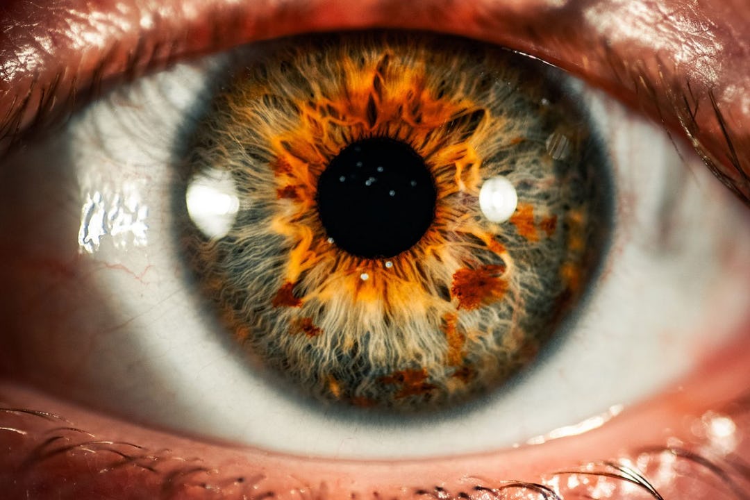 Lutein and Zeaxanthin for Eye Health and Performance