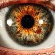 Lutein and Zeaxanthin for Eye Health and Performance