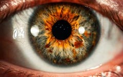 Lutein and Zeaxanthin for Eye Health and Performance