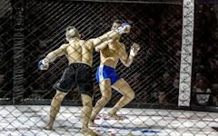 3 Lessons I Learned Training MMA Athletes