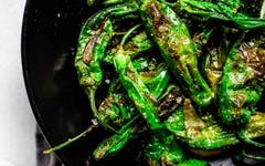 Blistered Spicy Shishito Peppers Recipe